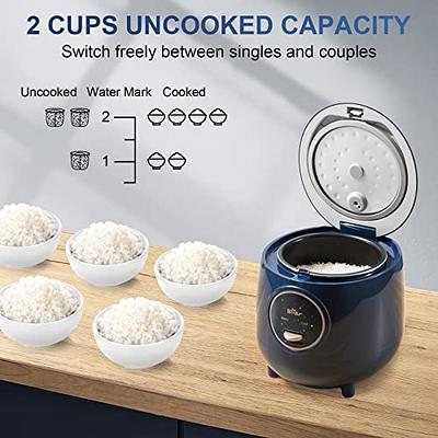 Mini Rice Cooker, 1L Small Rice Cooker 2 Cup-uncooked Travel Rice Cooker  12V