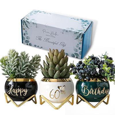 Succulent gift box - 3 ceramic pot