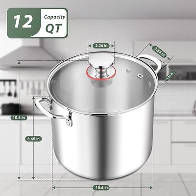 Nutrichef 12-Quart Stainless Steel Large Stockpot