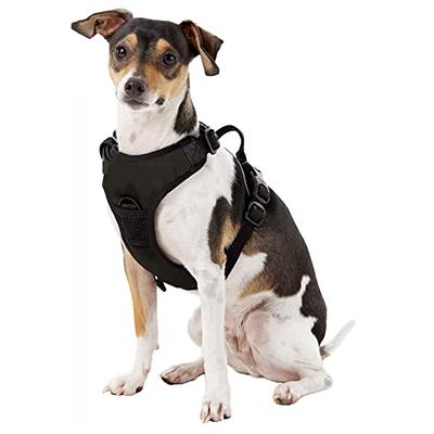 Kansas City Chiefs Dog Jerseys, Chiefs Pet Carriers, Harness, Bandanas,  Leashes