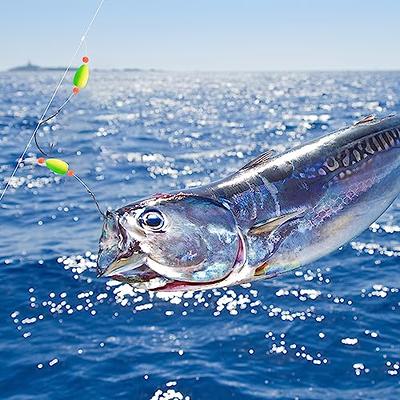  6 Pack Pompano Rigs Surf Fishing Rigs Saltwater Triple Drop  Pompano Rigs with Snell Floats Circle Hooks Beads Pre-Rigged Saltwater  Fishing Rigs Tackle for Beach Surf Pier Jetty : Sports