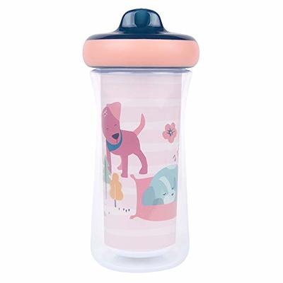 Insulated Hard Spout Sippy Cup (2 Pack)