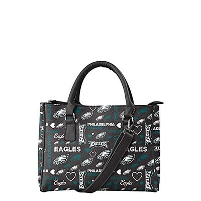 Miami Dolphins Team Stripe Clear Crossbody Bag FOCO