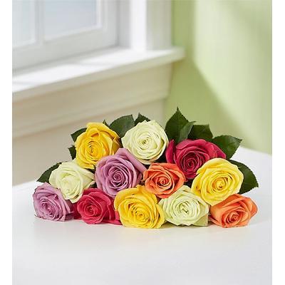 Rose Color Meanings & When To Gift Each Color