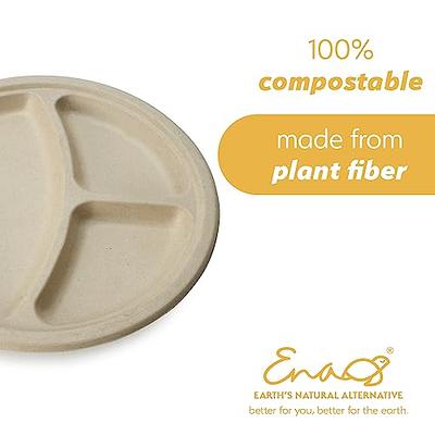 100% Compostable Disposable Paper Plates Bulk [6 480 Pack