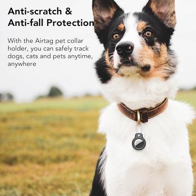 AirTag Dog Collar Case (Black)