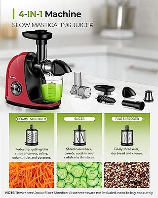 Aeitto Masticating Juicer with Two Speed Modes BLACK