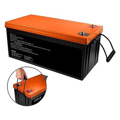  Elefast 12V 100Ah Bluetooth LiFePO4 Lithium Battery, 100A  BMS,Low temperature protection with Up to 8000 Cycles, Max. 1280Wh Energy  LiFePO4 Battery in Small Size, Perfect for RV, Solar, Trolling Motor 
