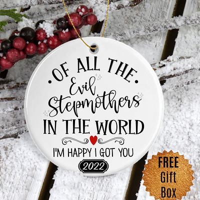 Stepmom Gifts For Step Mom 2022 Christmas Ornament From Stepkids Of All The  Evil Stepmothers in The World Funny Keepsake Bonus - Yahoo Shopping