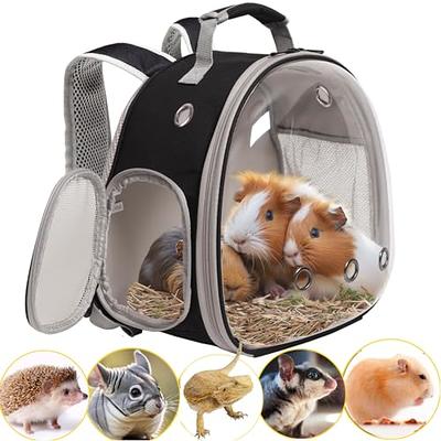 Adventure Cat Carrier Backpack with Window, Large Airline-Approved