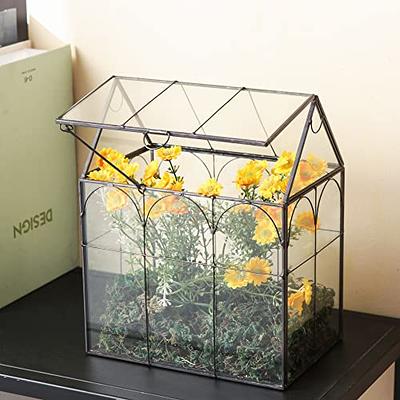 Giadun Large Glass Terrarium House Planter – Succulent Plant Terrarium House  Shape Glass Greenhouse Terrarium with Lid, Indoor Tabletop Orchid Succulent  Cacti Terrarium - Yahoo Shopping