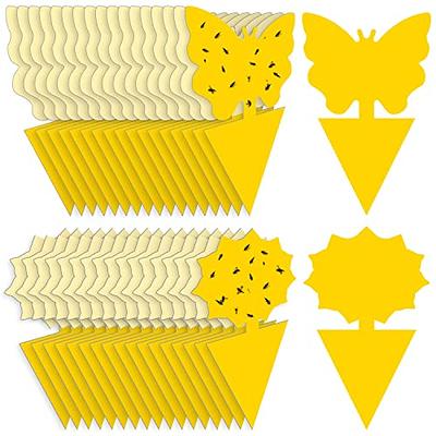 TERRO Non-Toxic Indoor Pantry Moth Trap (2-Count) T2900 - The Home Depot