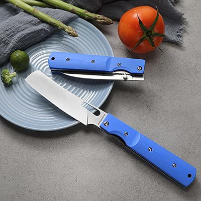 ZhengSheng Folding Chef Knife 4.8 Sharp 440A Stainless Steel Blade G10  Handle Pocket Foldable Kitchen Knife Utility Knife for Outdoor Camping  Cooking