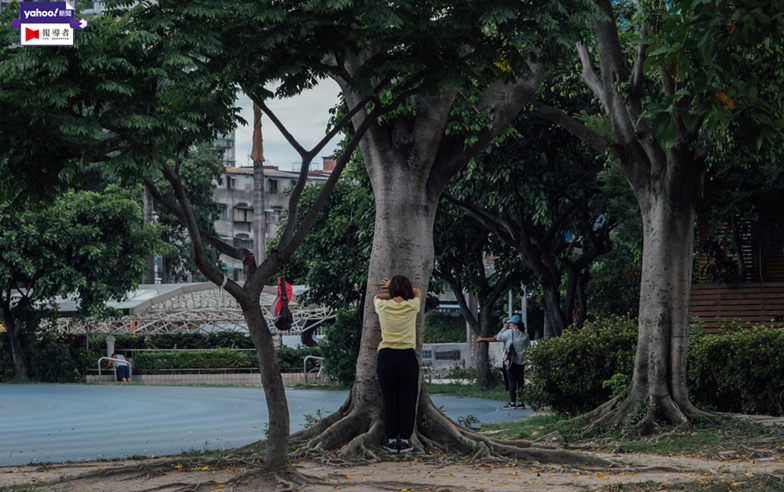 台灣社區流行傳播大解盲：哪些是超級傳播事件？三級警戒政策夠即時嗎？全民防疫效果如何？