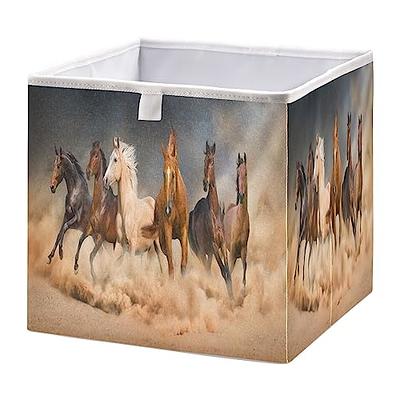 Pictures Storage Box 