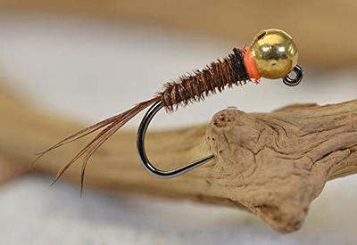 Tungsten Two Bit Hooker Red Jig Head Fly Euro Nymph Tied on Hanak Hooks -  6ct Pack