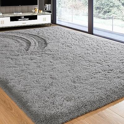 4X5.3 Ultra Soft Modern Area Rug Fluffy Living Room Carpet Nursery