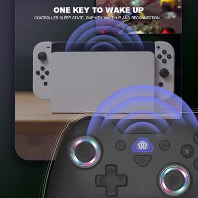  Switch Controller for Nintendo Switch/OLED, RGB One