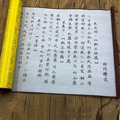 MEGREZ No Ink Chinese Calligraphy Practice Set, Reusable Calligraphy Water  Writing Cloth Paper, Comes with 4 Sheets Magic Cloth,1 Brush Pen,1 Water