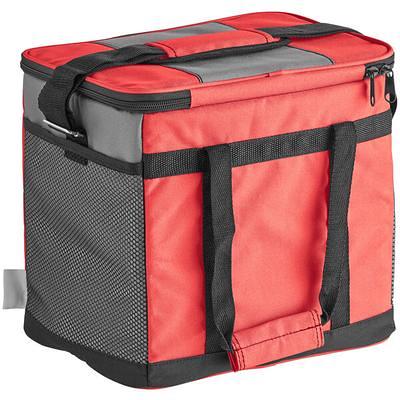 Choice Small Insulated Nylon Cooler Bag with Brick Cold Pack (Holds 24 Cans)