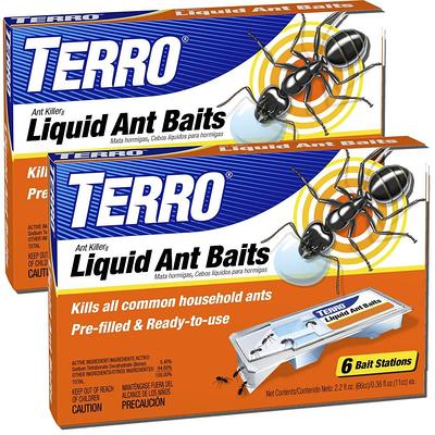 ENOZ Non-Toxic Clothes Moth Traps (2 Traps Plus 2 Lures) EB7200.1 - The  Home Depot
