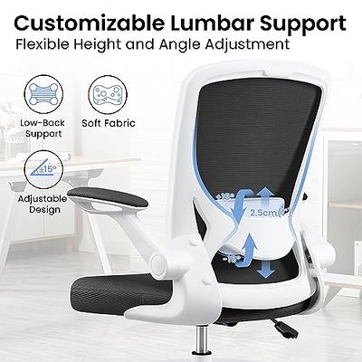 KERDOM High Back Ergonomic Office Chair with Lumbar Support