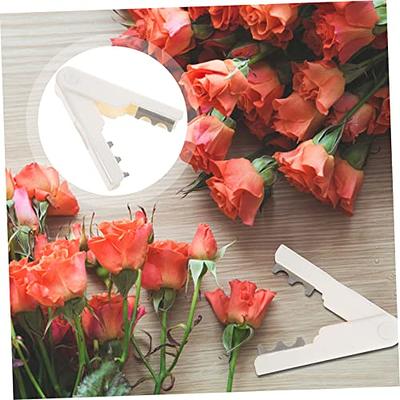 Yardwe Flower Punching Pliers Fresh Flowers Bouquet Ladies Suits Stripper  Outfits Sets Flower Arrangement Accessories Rose Thorn Cleaner Florist Leaf  Stripper Thorn Leaf Cleaner Stripper - Yahoo Shopping