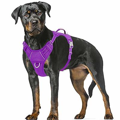 BARKBAY No Pull Dog Harness Large Step in Reflective Dog Harness