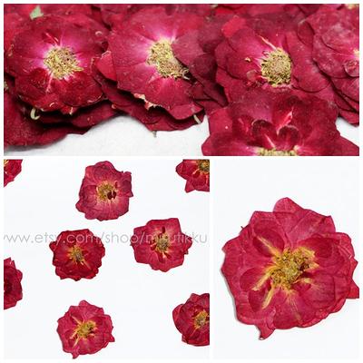 Dried Purple Roses/Dried Flowers/Small Roses/Resin Jewelry/Dried