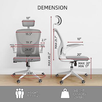 SIHOO Ergonomic Office Chair Desk Chair High Back Mesh Computer Chair with  Armrest and Adjustment Lumbar Support, 300lb, Light Gray