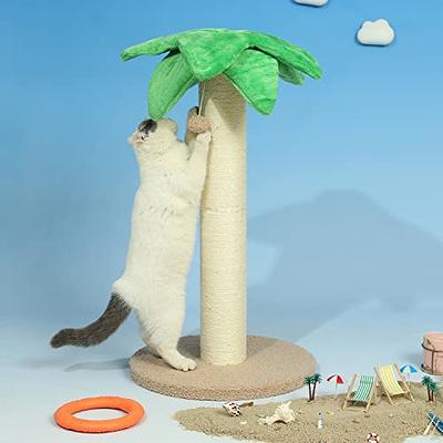 LUCKITTY Large Cat Scratching Post Kitty Coconut Palm Tree - Big