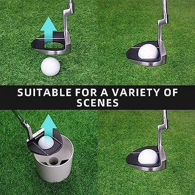 Funny Golf Club Covers for Putter, I Like Big Putts and I Cannot Lie  headcovers, Funny