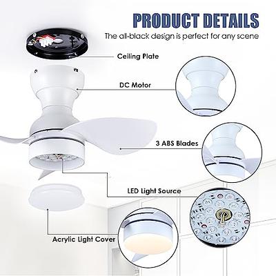  Dalouguan Ceiling Fan with Lights Remote Control, 24
