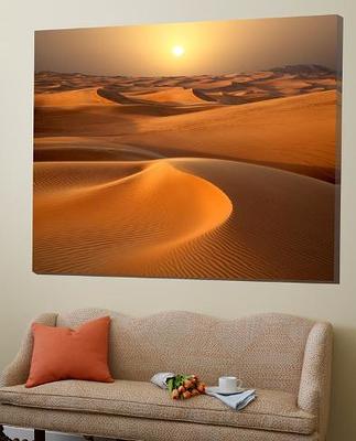 Stupell Indtries Beach Sand Dune Path Tall Grass Muted Sky,30 x 24