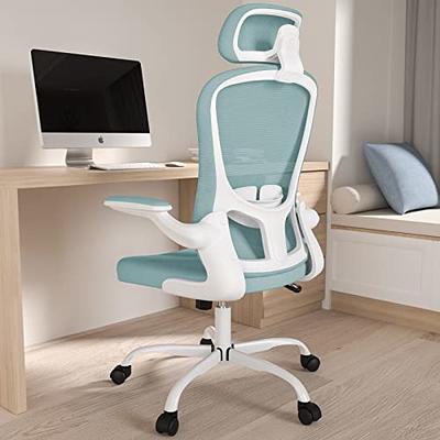 CLATINA Office Chair Ergonomic Rolling Computer Desk Chair with