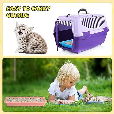  5pcs Kitten Litter Box, 9.65x7.28x0.98 inch Small Cat Litter  Box with Litter Spatula Shallow Litter Pan Plastic Litter Tray Portable Cat  Waste Tray Kitten Boxes for Indoor Cats Low Entry (5