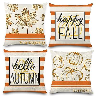 Farmhouse Fall Throw Pillow Covers 18x18 Set of 4, Autumn Pumpkin  Decorative Pillow Covers, Thanksgiving Pillows Cases Harvest Cushion Cases  for Couch