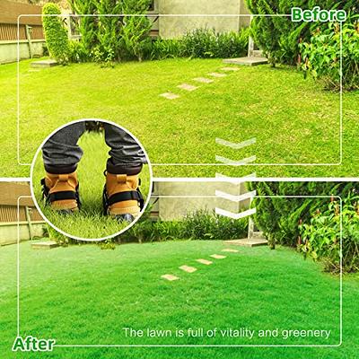  Spiked Shoes, Lawn Aerator Shoes for Lawn Care