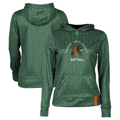 Men's Nike x LeBron James Green Florida A&M Rattlers Performance Pullover  Hoodie