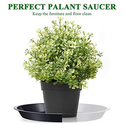 30 Pack Plant Saucers for Indoors 6 Inches Plant Trays for Pots Plastic  Trays for Plants Square Plant Drip Trays for Potted Plants Flower Pot  Saucers