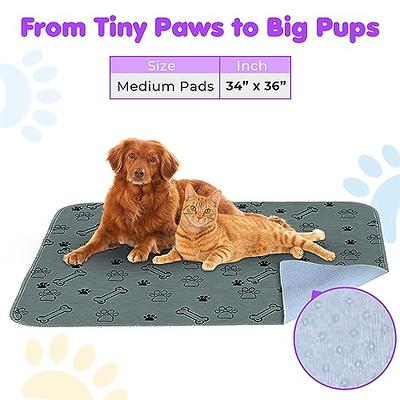  Simple Solution Large Washable Puppy Pad, Reusable Dog Pee Pad, Absorbent and Odor Controlling