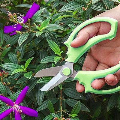 KAJUDA 8 Pruning Shears, Professional Bypass Garden Shear Hand Pruners  Gardening Shears Clippers for Plants, Flower Cutter Florist Scissors  Trimming