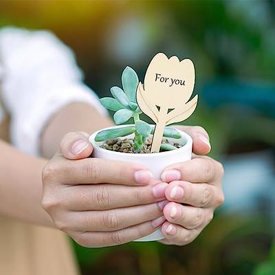 Boxgear 50pcs Bamboo Plant Labels (T-Type) with a Marker Pen, Garden Markers,  Plant Tags, Wooden Plant Sign, Gardening Accessories, Garden Markers for  Seed Potted Herbs Flowers Vegetables - Yahoo Shopping