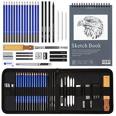 Heshengping Drawing Pencils Sketch Pencil Art Supplies Set for Kids Adults  beginners Professional Sketching Art Graphite Charcoal Blending Stump