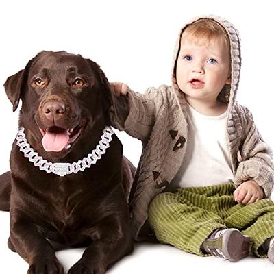 Bling Diamond Dog Chain Collar with Secure Buckle, Gold Stainless Steel  Cuban Link Walking Chain for Large Dogs American Bully French Bulldog Dog  Pet