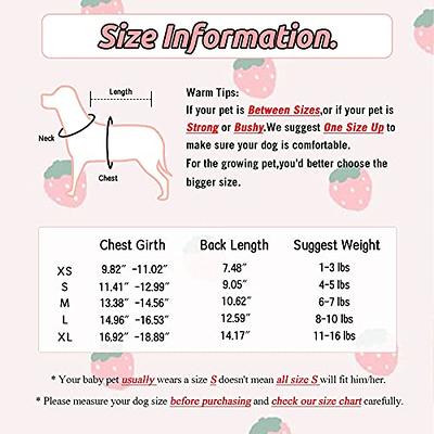 Petcare 3 Pack Small Dog Shirts Girl Puppy Clothes Cat T Shirt Soft Cotton Short Sleeve Tee Shirts for Small Dogs Girls Chihuahua Yorkie Shih Tzu