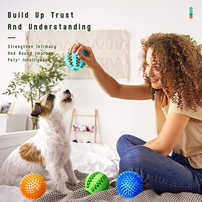 Interactive Dog Toys, Dog Chew Toys Ball for Small Medium Dogs, IQ Treat  Boredom Food Dispensing, Puzzle Puppy Pals Tough Durable Rubber Pet Ball,  Best Cleans Teeth Dog Balls 