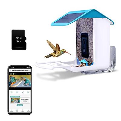 Bird Feeder with Camera,Smart Bird Feeder with Camera,Solar Bird Feeder  Camera,Bird Feeder with Camera Wireless Outdoor,Video Bird Feeder Camera,Camera  Bird Feeder,AI Bird Watching Camera - Yahoo Shopping