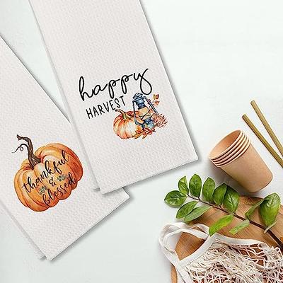 Thanksgiving Pumpkins Bathroom Towel Set,Microfiber Bath Kitchen