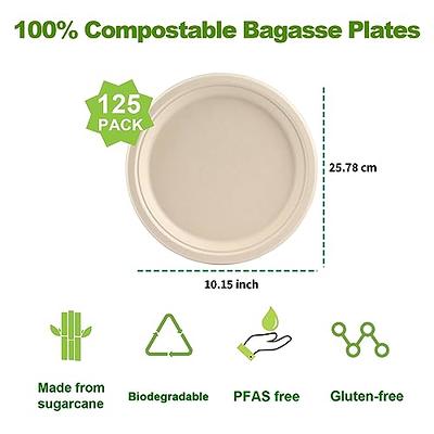 I00000 Heavy Duty 100% Compostable 9 Inch Paper Plates, 100 Pack